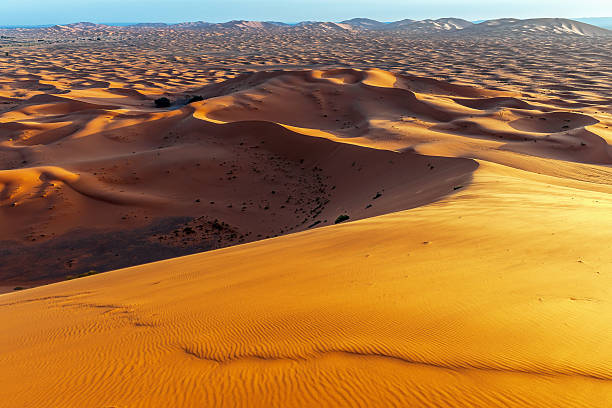 sunset, erg chebbi sand dunes, morocco, northern africa - landscape desert wave pattern erg chebbi dunes 뉴스 사진 이미지