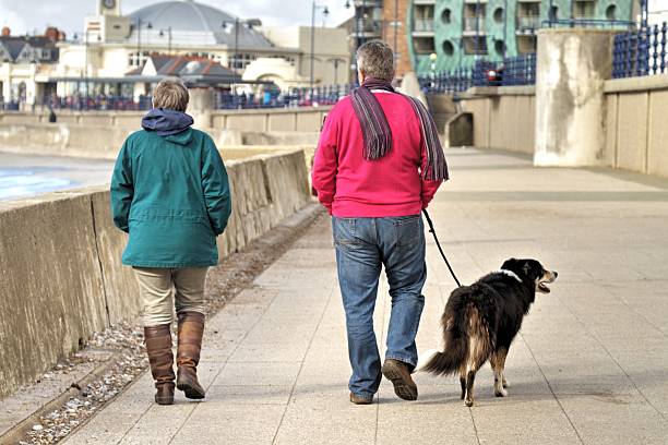 istock Mature couple and dog walking on seafront 468576804