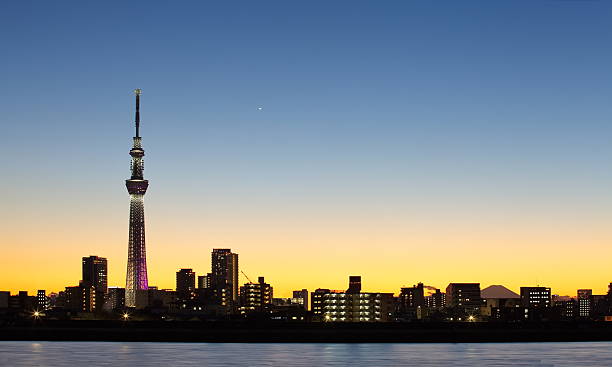 vue sur la ville et le parc tokyo sky tree sihouette sur la ville - sky tree audio photos et images de collection