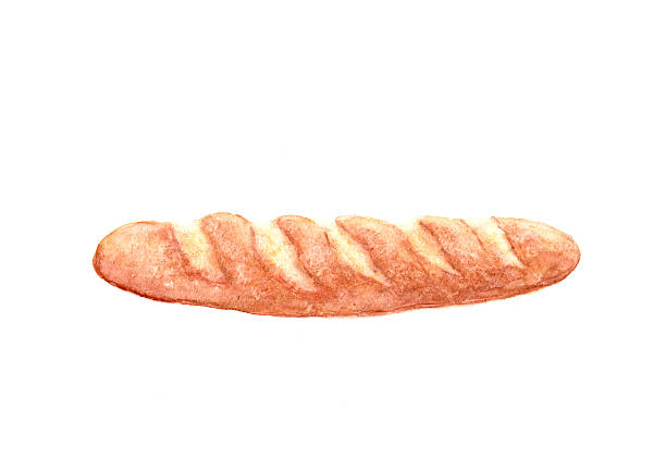watercolor french bread isolated on white background - baguette 幅插畫檔、美工圖案、卡通及圖標