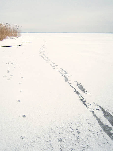 orme sulla congelato lago chiemsee - non urban scene landscaped winter snow foto e immagini stock