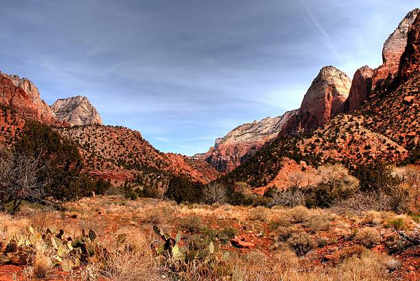 istock Zion National Park 468582515