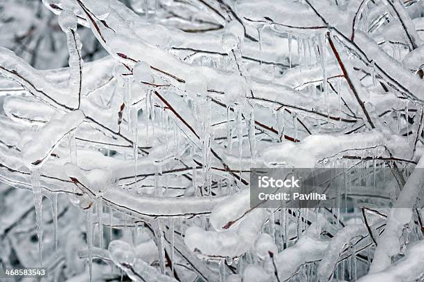 Congelarse Ramas I Foto de stock y más banco de imágenes de Aire libre - Aire libre, Belleza de la naturaleza, Blanco - Color