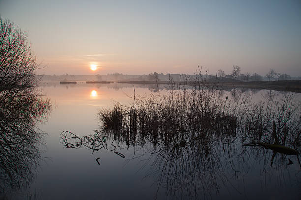 istock Fen with grass at sunrise 468583876