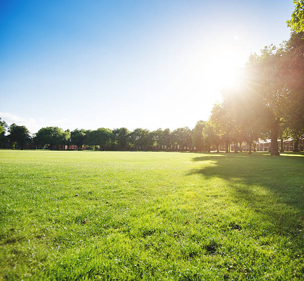 istock green grass park on the derbyshire 468585425