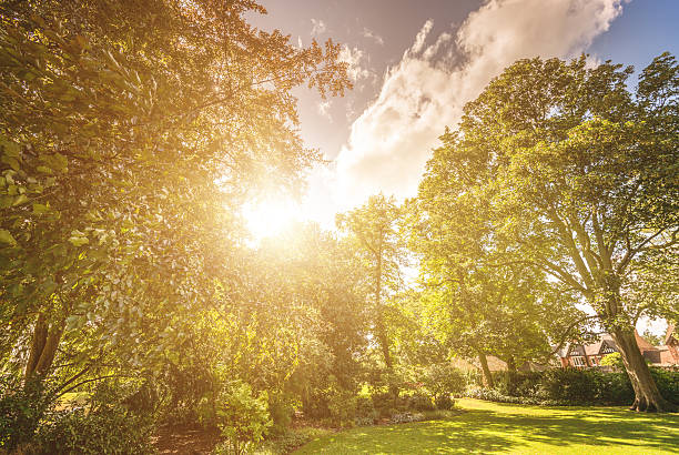 istock green grass park on the derbyshire 468585493