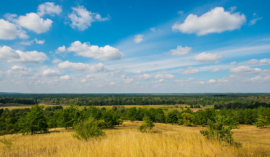 forest and steppe landscape blue sky with clouds, panorama