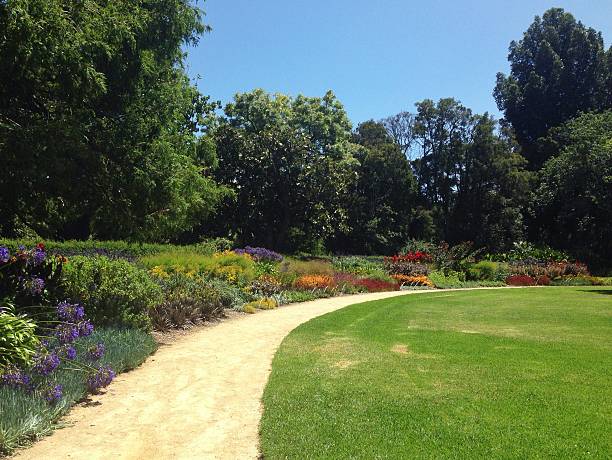 istock Natural pathway along flower garden with numerus tree background 468592454