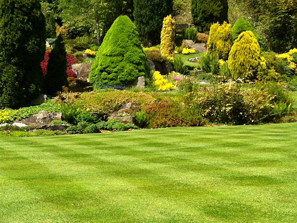 istock Image of beautiful green garden lawn, grass stripes, checkerboard effect 468593410