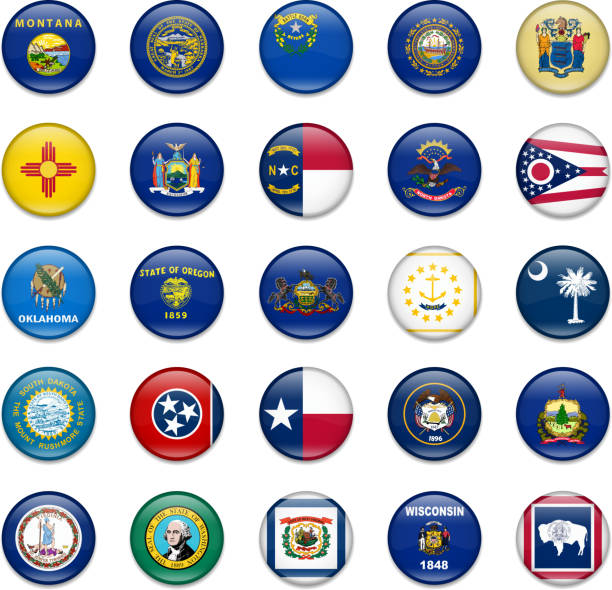 ilustraciones, imágenes clip art, dibujos animados e iconos de stock de bandera usa state botón colección-parte 2 - south carolina flag interface icons symbol