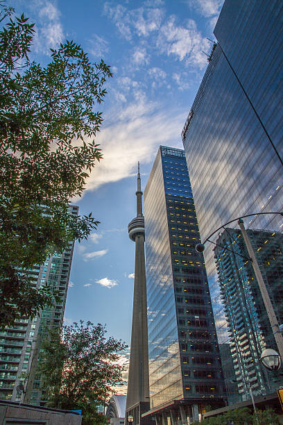 istock Toronto downtown, CN Tower, buildings, skyscrapers 468599532