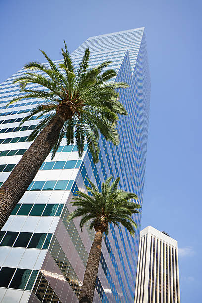 istock Skyscrapers and Palm Trees - Los Angeles 468600842