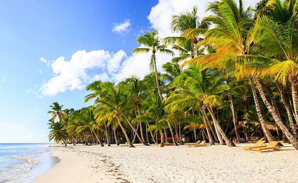 istock Caribbean beach in Dominican Republic 468605182