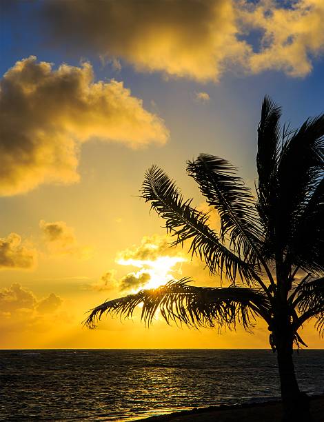 istock Sunrise over Caribbean sea 468605268