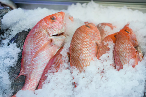 Fresh snapper at fish market.