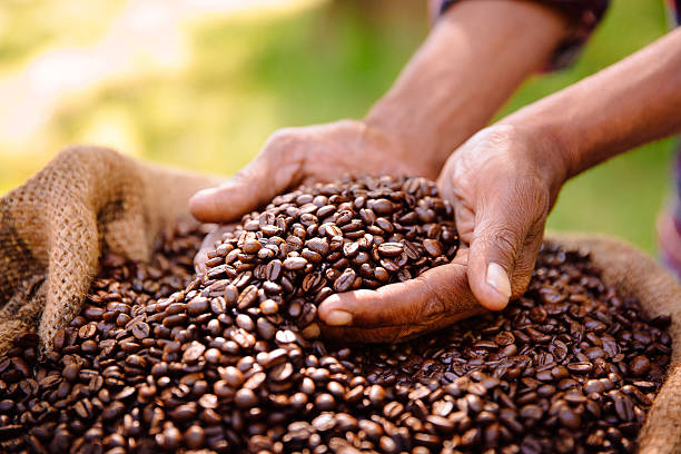 fair trade landwirtschaft ist die beste wahl für kaffee bohne produkte - geröstete kaffeebohne stock-fotos und bilder
