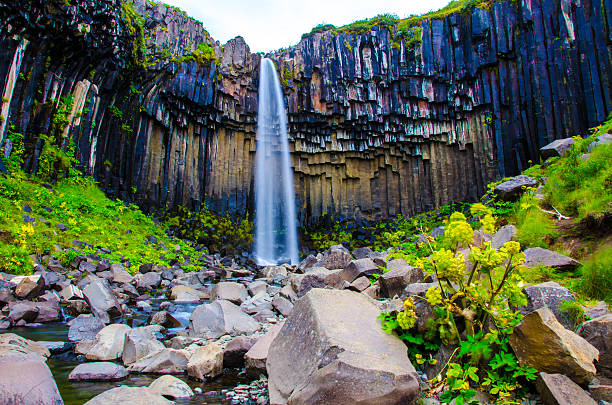 istock Svartifoss Waterfall in Iceland 468608448