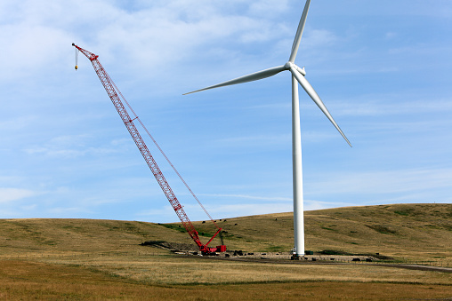istock Wind Turbine Installation Co-Existing With Free Range Cattle 468608510