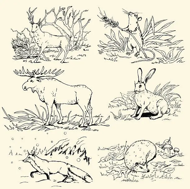 Vector illustration of An illustration of various animals in the wild