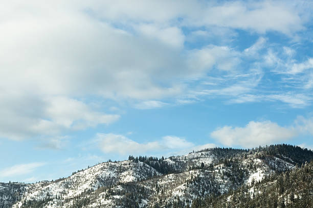 Free Stock Photo of Mountain Covered in Clouds and Trees Under a Cloudy ...