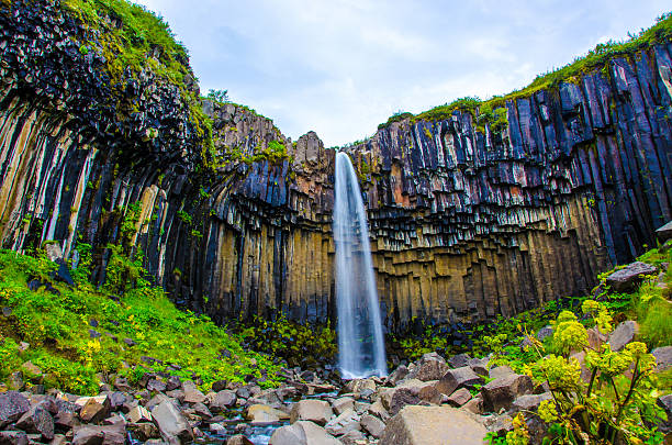 istock Svartifoss Waterfall in Iceland 468611638