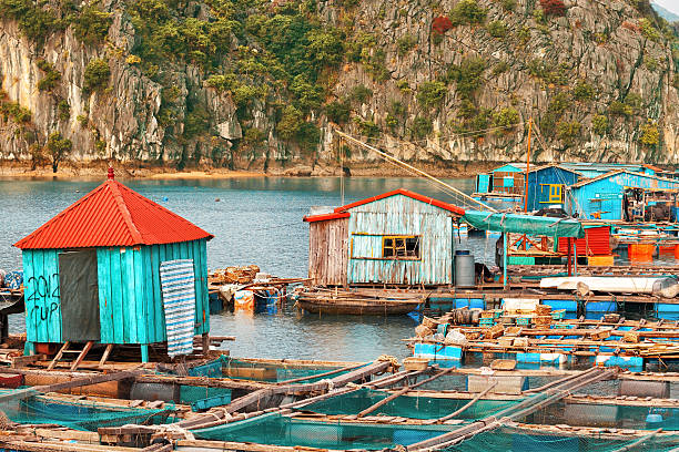 istock Asian floating village at Halong Bay 468612046