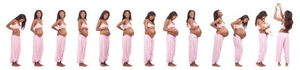 Pregnancy period and birth.