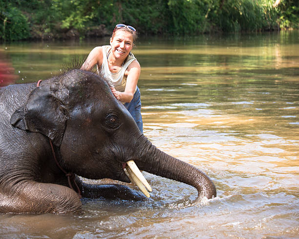 istock Baby elephant bathing in river and next elephant standing woman 468613854