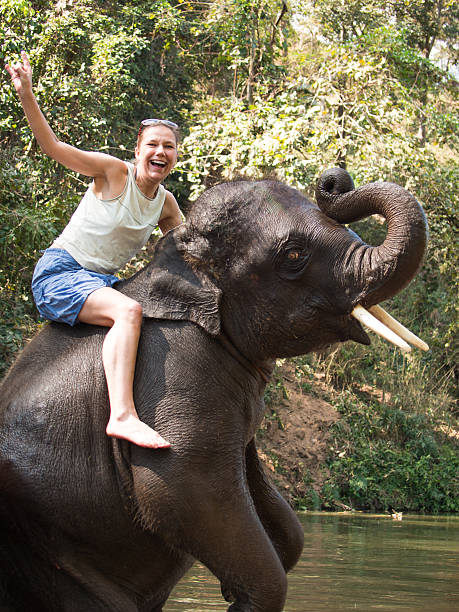 istock Screaming woman sits riding on young elephant 468613856