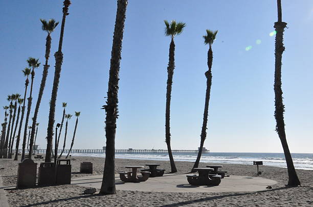 istock Oceanside in Southern California 468613984