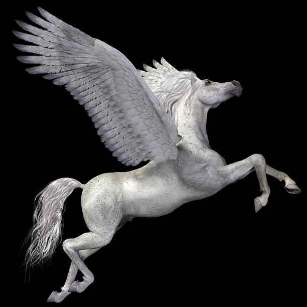 White Pegasus Profile A magical white Pegasus spreads its wings and flies up into the sky. pegasus stock pictures, royalty-free photos & images