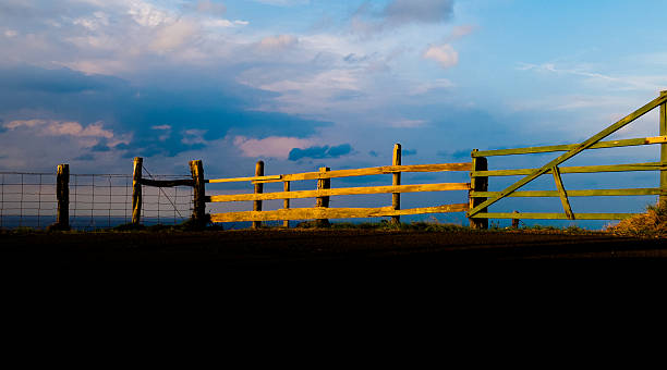 Sunset reflected on a old wooden fence. Maui, Hawaii. stock photo