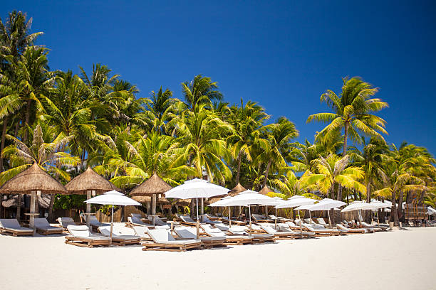 istock Tropical white sunny beach in beautiful exotic resort 468623365