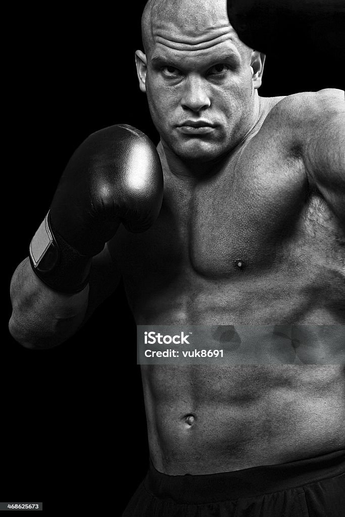 박서 (Boxer) - 로열티 프리 거친 스톡 사진