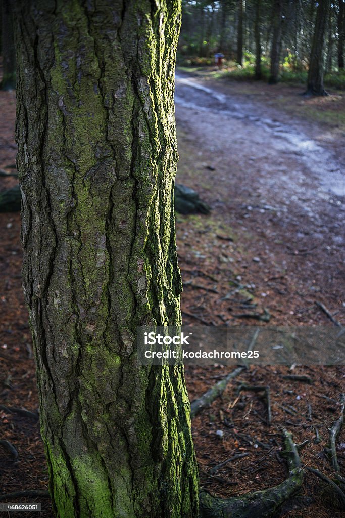 licky hills licky hills country park worcestershire Backgrounds Stock Photo