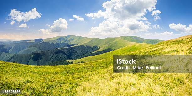 Wild Grass On Mountain Top Stock Photo - Download Image Now - 2015, Agricultural Field, Europe