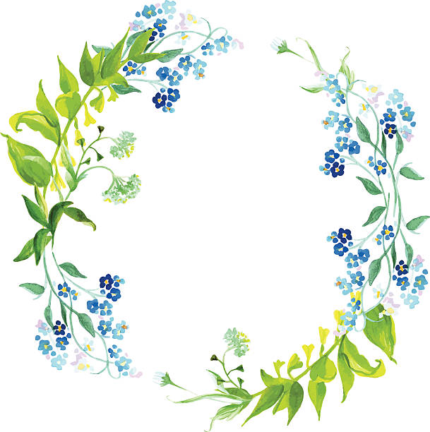 Forget-me-not and herb watercolor round vector frame Forget-me-not and meadow herb watercolor round vector frame watercolor flower stock illustrations