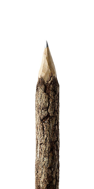 istock Wooden pencil isolated 468643996