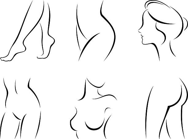 ilustrações de stock, clip art, desenhos animados e ícones de conjunto de partes do corpo estilizado - women human leg body buttocks