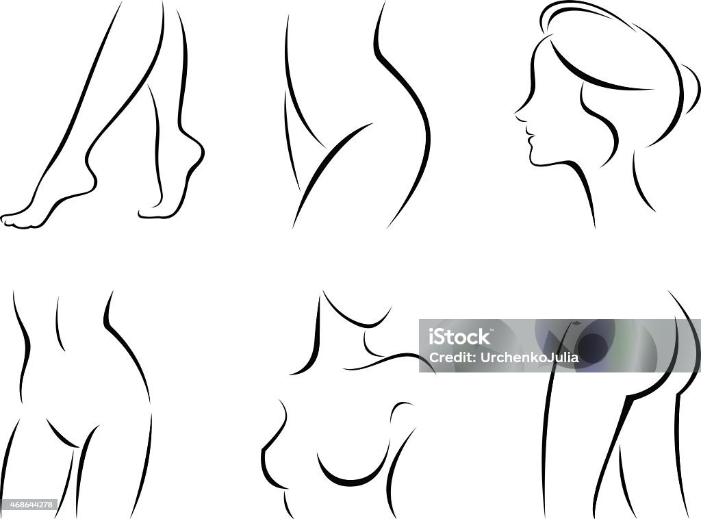 Stylized line drawings of female body parts Vector illustration of set of stylized female body parts Women stock vector