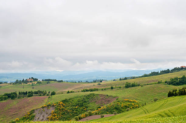 istock Green hill under sky filled with clouds in Tuscany 468646974