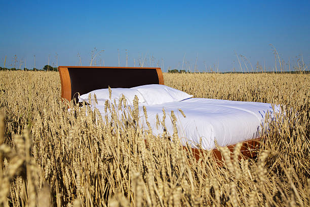 bed in a grain field- concept of good sleep