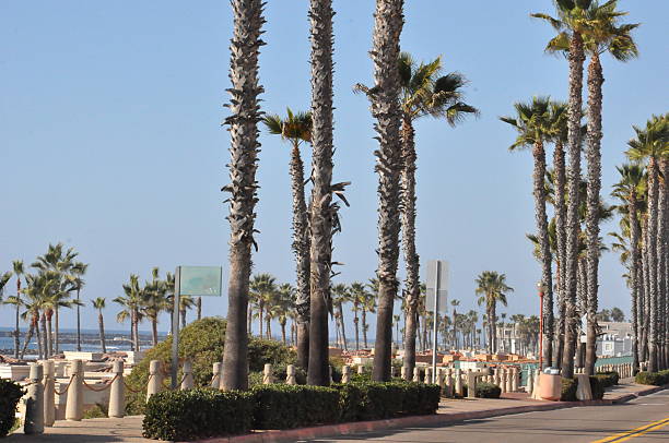 istock Oceanside in Southern California 468658144