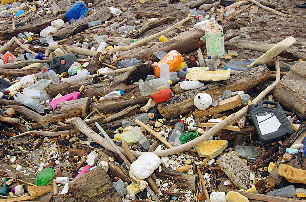 Water pollution. wastes on the beach stock photo