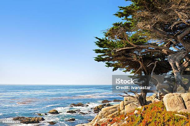 Pescadero Point With Ghost Trees Stock Photo - Download Image Now - 17-Mile Drive, Pebble Beach - California, California