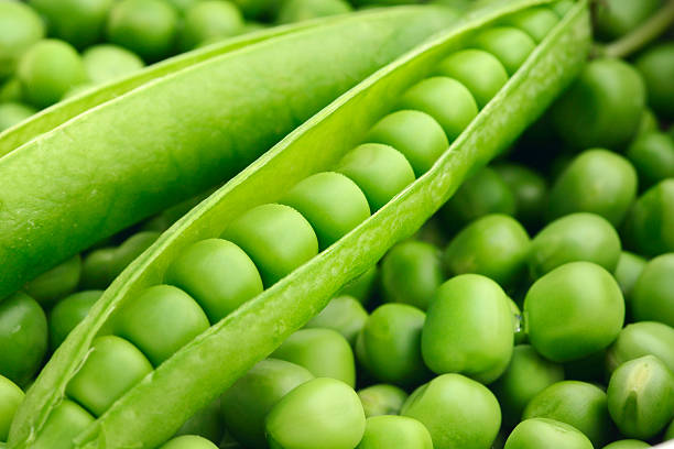 vagem de ervilha verde fresco. - green pea pea pod vegetable freshness imagens e fotografias de stock