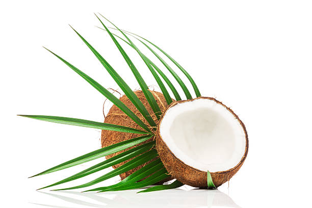 Coconut with green leaves stock photo