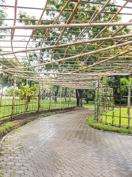 istock Bamboo roof for vine creeper plant 468666852