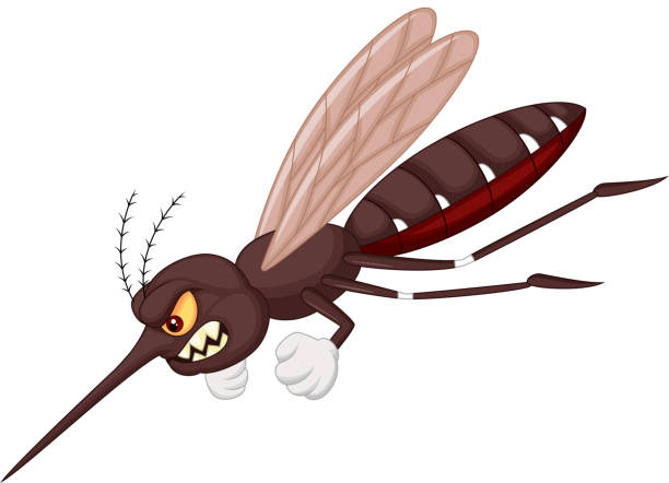 9,000+ Angry Fly Stock Illustrations, Royalty-Free Vector Graphics & Clip  Art - iStock