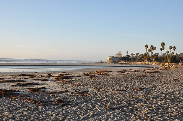 istock Cardiff State Beach in California 468670860
